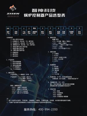 智神科技-锅炉产品选型表